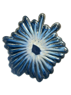 Ruffle Rain #16