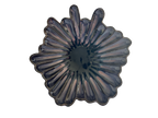 Ruffle Rain #20