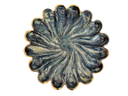 Aurora Dish #21