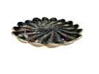 Aurora Dish #22