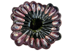 Ruffle Rain #27