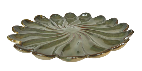 Aurora Dish #37