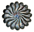Aurora Dish #38