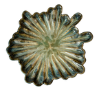 Ruffle Rain #56