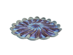 Aurora Dish #6