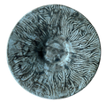 SECONDS: Every Mark: Special Glaze Broad-Rimmed Bowl