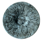 SECONDS: Every Mark: Special Glaze Broad-Rimmed Bowl