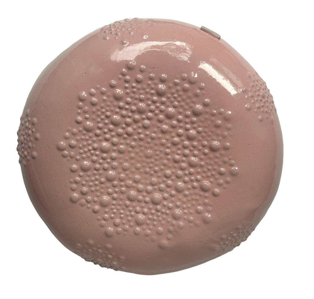 SECONDS: Hidden Galaxy