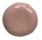 SECONDS: Hidden Galaxy