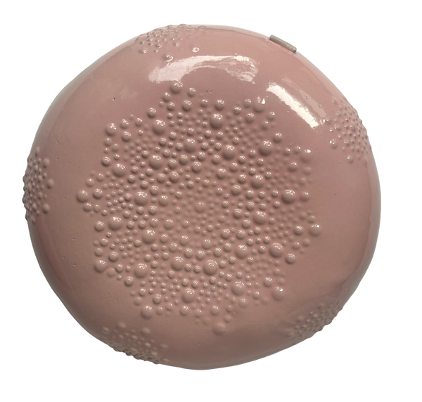 SECONDS: Hidden Galaxy