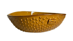The Orbit Bowl