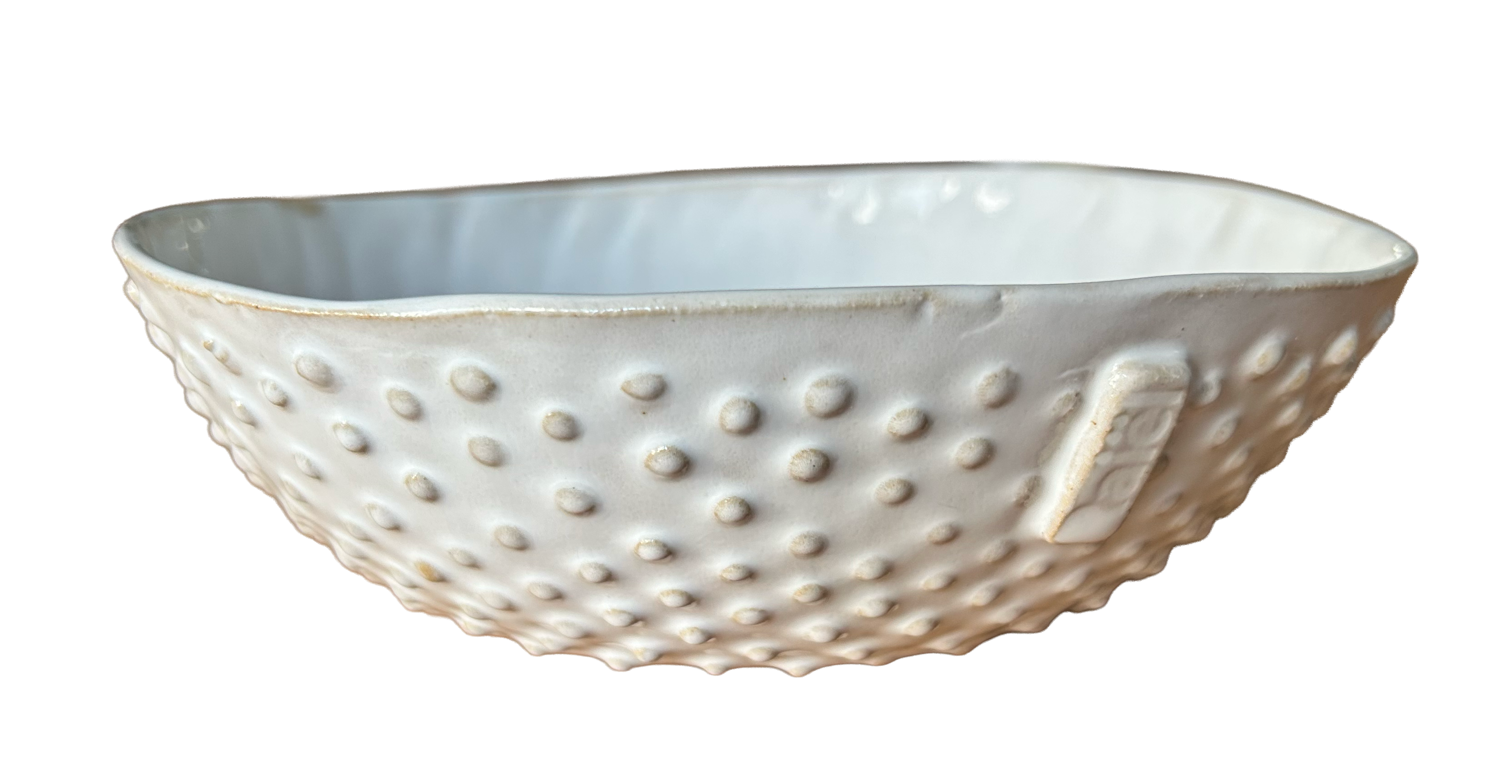 The Orbit Bowl